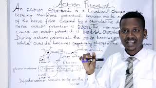 BIOLOGY FORM 4 CHAPTER 1Action Potential LECTURE 07 [upl. by Esyak]