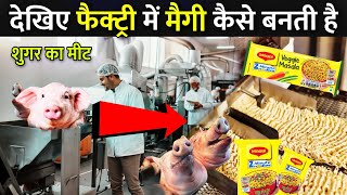 देखिए फैक्ट्री में Maggi कैसे बनती है   Maggi Making Process  Maggi Kaise Banti Hai [upl. by Youlton]