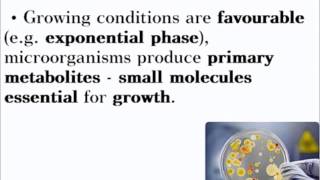 Biotechnology  ALevel A2 Biology Revision [upl. by Readus149]