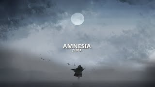 Zevia  amnesia lyrics [upl. by Mapel]