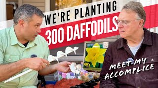 Pt 1 Daffodil Lawn with Planting Augers at Home [upl. by Turro]