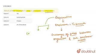 Which of the substrate is used in protoplasmic respiration [upl. by Oer]