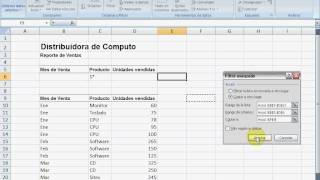Filtro Avanzado con Microsoft Excel 2007 [upl. by Meesan]