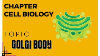 Golgi Apparatus Golgi Body Structure And Function biology cellbiology golgiapparatus [upl. by Otipaga]