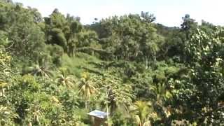 Zimbali Mountain Retreat  Little London Jamaica [upl. by Arriaet]