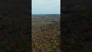 Deep Creek 🍁 shorts fall foliage [upl. by Tower]