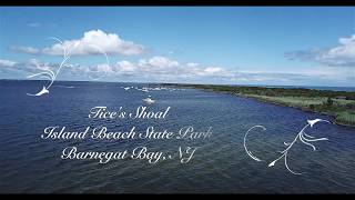 Tices Shoal 2018  Island Beach State Park  Barnegat Bay NJ [upl. by Akinet]