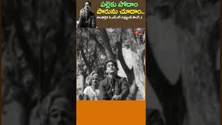 Pelleku Podam Parunu Choodam Song  పల్లెకు పోదాం పారును చూదాంDevadasu Shorts Youtubeshorts [upl. by Hgielram]