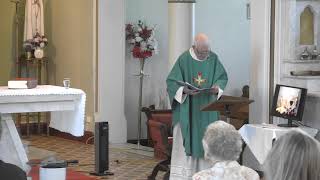 The Immaculate Conception Catholic Church  Live stream [upl. by Lerud]