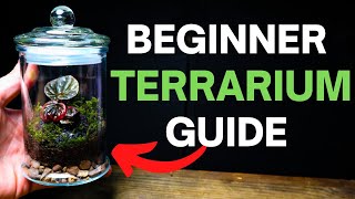 How To Make a Terrarium  A SIMPLE Beginner Guide [upl. by Cogn]