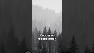 What happened to DB Cooper [upl. by Alderson596]