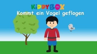 Kommt ein Vogel geflogen  Kinderlieder zum Mitsingen  KIDDYBOXTV [upl. by Drawe393]