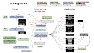 Cholinergic crisis organophosphate poisoning mechanism of disease [upl. by Alian]