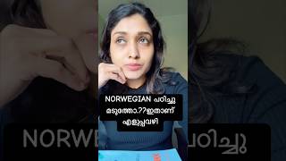 Norwegian ഇനി ഈസി ആയി പഠിക്കാം Norwegianlanguage  Minivlog easywaytostudyforeignlanguages [upl. by Dunseath]