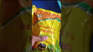 PHORATE 10CG BAND New Product how to use in telugu [upl. by Aillicsirp]