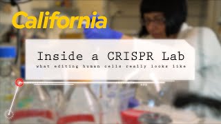 Inside a CRISPR Lab [upl. by Laura122]