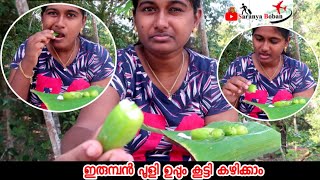 ഇരുമ്പൻ പുളി ഉപ്പും കൂട്ടി കഴിക്കാം  bilimbi mouth eating  bilimbi tree  India village food [upl. by Neral]