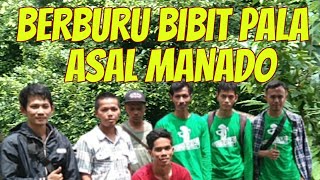 BERBURU BIBIT PALA ASAL MANADO [upl. by Alad]