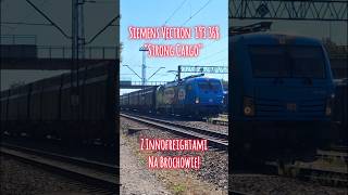 SIEMENS VECTRON quotSTRONG CARGOquot 193 368 NA BROCHOWIE [upl. by Kcirednek395]