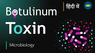 Botulinum Toxin in Hindi  Botulism toxin  Clostridium botulinum  Basic Science Series [upl. by Fan]