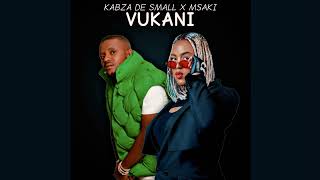 Kabza De Small Ft Msaki  Vukani [upl. by Karlise266]