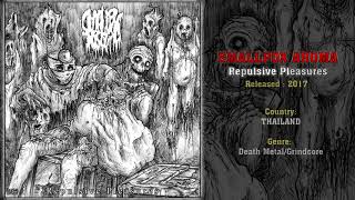 Smallpox Aroma THA  Repulsive Pleasures Full EP 2017 [upl. by Ahsael]