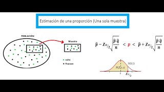 Estimación de una proporción [upl. by Ymij590]