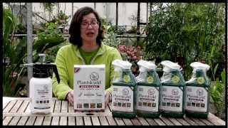 Plantskydd Deer Repellent  Powder Concentrate [upl. by Cath]