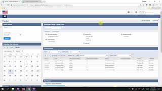 NetSuite SuiteFlow Workflow [upl. by Peggir]