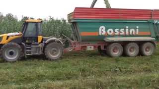 Trinciatura Arundo donax biogas 2013  Ott13 12 [upl. by Acila]