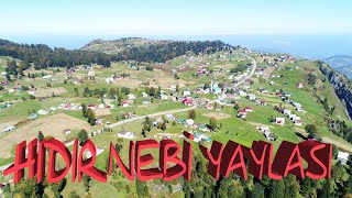 HIDIRNEBİ YAYLASI  AKÇAABAT  TRABZON  TURKEY  DRONE [upl. by Ianteen]