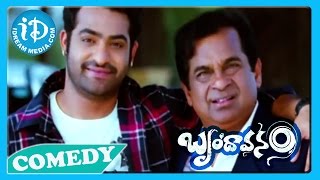 Brindavanam Movie Part  6  Jr NTR  Kajal Aggarwal  Samantha  Prakash Raj  Srihari [upl. by Larue]