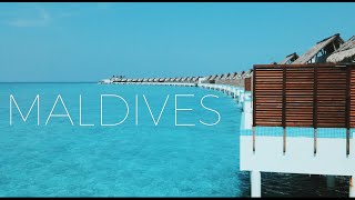 Maldives Travel Experiences [upl. by Yttisahc]