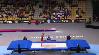 2015 Trampoline World Championships Male [upl. by Shelah]