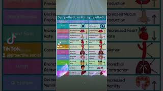 Sympathetic VS Parasympathetic [upl. by Thia]