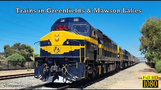 Preserved VR Diesels in SA  Rail Action in Greenfields amp Mawson Lakes [upl. by Jacinta250]