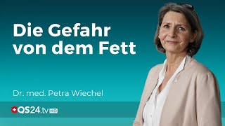 Insulinresistenz Die Gefahr von Bauchfett  Dr med Petra Wiechel  Visite  QS24 [upl. by Inait]