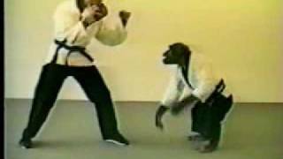 karate monkey most viewed [upl. by Eon]