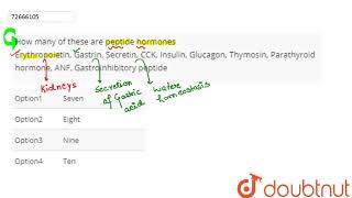 How many of these are peptide hormones Erythropoietin Gastrin Secretin CCK Insulin Glucagon [upl. by Raul]