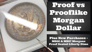 Proof amp Prooflike Morgan Dollars  How to Tell the Difference  MS66 amp MS67 Morgans Proof 1879 Dime [upl. by Acined]