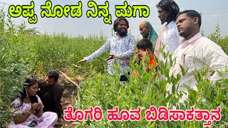 ತೋಗರಿ ಹೂವಾ ಬಿಡಸುದು shivaputra shivaputracomedy shivaputrayasharadha uttrakarnataka [upl. by Yeldah]