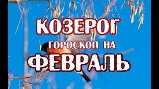 Козерог Гороскоп на февраль 2019 года на картах Таро 78 Дверей [upl. by Euv]