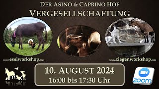 Ein ganzes Jahr  Vergesellschaftung  TRAILER [upl. by Eizzo]