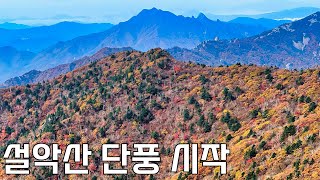 설악산 단풍 언제 어디가 좋을까 2024년 설악산 단풍 현황 [upl. by Carvey542]