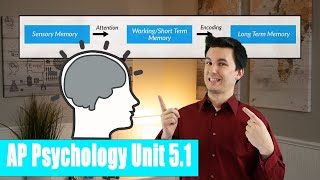 Introduction to Memory AP Psychology Unit 5 Topic 1 51 [upl. by Ardnuaed]