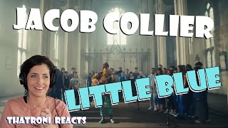 Jacob Collier  little Blue Reaction [upl. by Kolk]