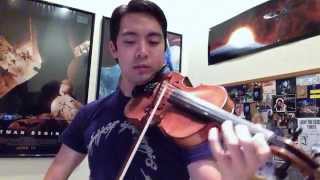 11 Lord of the Rings Themes on Violin [upl. by Anaeg]