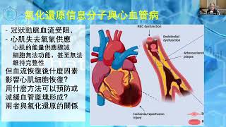 氧化还原健康科学视频心血管病与氧化还原失衡 [upl. by Jaquenette]