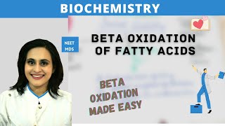 You Wont Believe the Power of Beta Oxidation in Fatty Acid Metabolism [upl. by Adriel321]