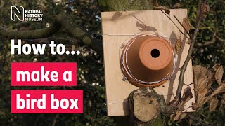 How to make a bird box  Natural History Museum [upl. by Treva]